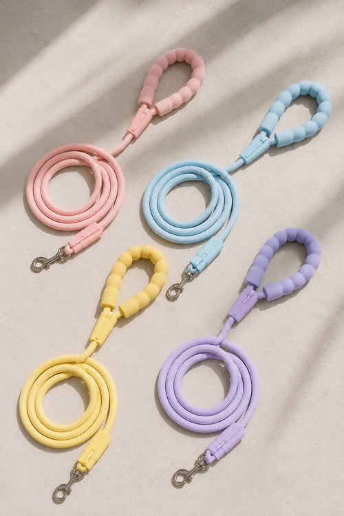 Pink, blue, yellow and purple pastel rope dog leashes with padded handles and metal clasps