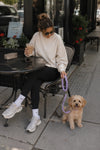 Woman at an outdoor cafe with a small dog on a purple rope leash